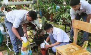 Siswa SMA Negeri 14 Palembang Dukung Gerakan Sumsel Mandiri Pangan