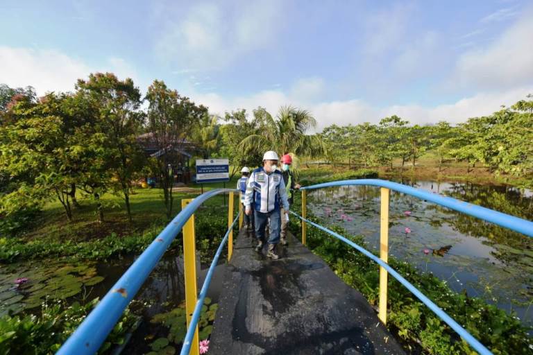 Bukit Asam Manfaatkan Akar Wangi untuk Bersihkan Air Asam Tambang. (foto : SMSI Sumsel)