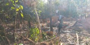 Lokasi Pengeboran Minyak di Keluang. (foto : frd)