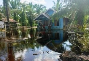 Rumah Warga di Kecamatan Tungkal Ilir, Kabupaten Banyuasin, terendam air.