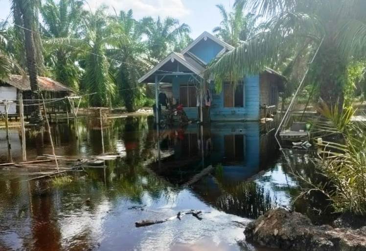 Rumah Warga di Kecamatan Tungkal Ilir, Kabupaten Banyuasin, terendam air.