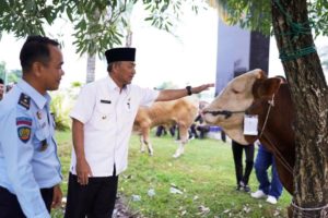 Pj. Bupati Kabupaten Musi Banyuasin, H. Apriyadi Mahmud, saat penyaluran Sapi dan Kambing Kurban dari Pejabat di Lingkungan Pemerintah Kabupaten Musi Banyuasin, pada Selasa tanggal 27 Juni 2023 di Masjid Raya Baitul Makmur, Sekayu. (foto : bekisarmedia.id/arba'a)