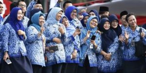 Ilustrasi Aparatur Sipil Negara. (foto : sumselsatu.com)