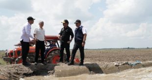 Menteri Pertanian Republik Indonesia, Syahrul Yasin Limpo, bersama Gubernur Sumatera Selatan, Herman Deru, saat meninjau Tanam Perdana Padi Gemas Elnino di Desa Pelabuhan Dalam Kabupaten Ogan Ilir, Sumsel, pada hari Senin tanggal 7 Agustus 2023.