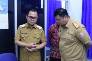 Pj. Bupati Kabupaten Banyuasin, Hani Syopiar Rustam. (foto : SMSI SUMSEL)
