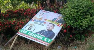 Spanduk Milik Edi Triono, Caleg DPRD Kabupaten Musi Banyuasin, yang dirusak oleh Orang Tidak dikenal di wilayah Desa Berlian Makmur dan Desa Srigunung Kecamatan Sungai Lilin. (foto : edi triono)