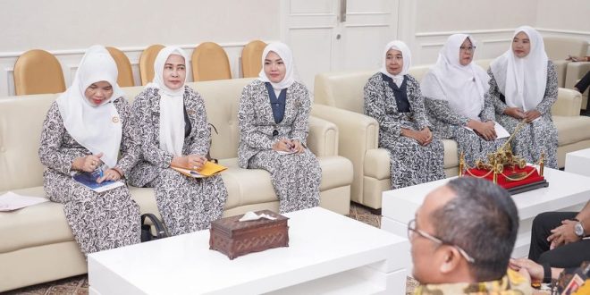Pengurus Ikatan Bidan Indonesia Kabupaten Musi Banyuasin saat audiensi dengan Pj. Bupati Kabupaten Musi Banyuasin, H. Apriyadi Mahmud, di Ruang Audiensi Bupati Muba, hari Kamis tanggal 4 April 2024. (Bekisar Media / Eka Sahputra)