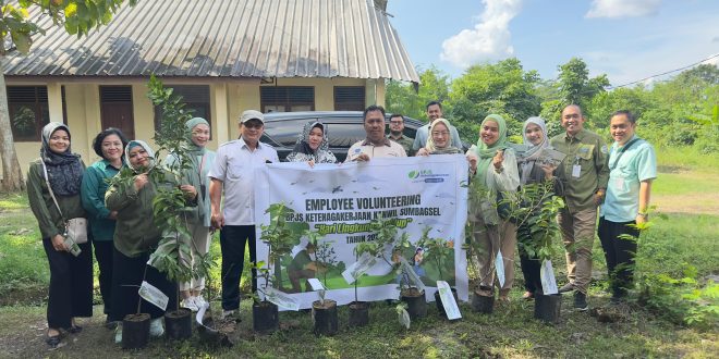 BPJS Ketenagakerjaan (BPJamsostek) Kantor Wilayah (Kanwil) Sumatera Bagian Selatan (Sumbagsel) melakukan employee volunteering dengan menanam dan menyerahkan bibit pohon serta kotak sampah di Balai Lingkungan Provinsi Sumatera Selatan (Sumsel) pada 5 Juni 2024. (Bekisar Media / BPJS Ketenagakerjaan)
