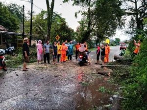 Kondisi Jalan praja Permai setelah Tim Satgas Piket Posko Bencana BPBD melakukan penebangan dan pembersihan pohon tumbang, hari Minggu tanggal 19 Mei 2024. (bekisarmedia.id/eka sahputra)