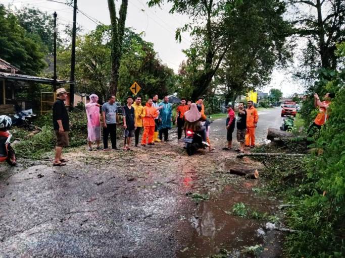 Kondisi Jalan praja Permai setelah Tim Satgas Piket Posko Bencana BPBD melakukan penebangan dan pembersihan pohon tumbang, hari Minggu tanggal 19 Mei 2024. (bekisarmedia.id/eka sahputra)