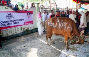 Bakal Calon Wali Kota Palembang Periode 2024-2029, Nandriani Octarina, menyerahkan sapi untuk diqurbankan pada hari Raya Idul Adha tahun 2024. (Bekisar Media / Oyong Hairudin)
