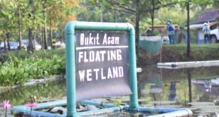PT. Bukit Asam Tbk (PTBA) berinovasi mengembangkan lahan basah buatan (constructed wetland) untuk menghilangkan bahan pencemar seperti logam berat dan mampu menetralkan air asam tambang. (Bekisar Media / PT. Bukit Asam)