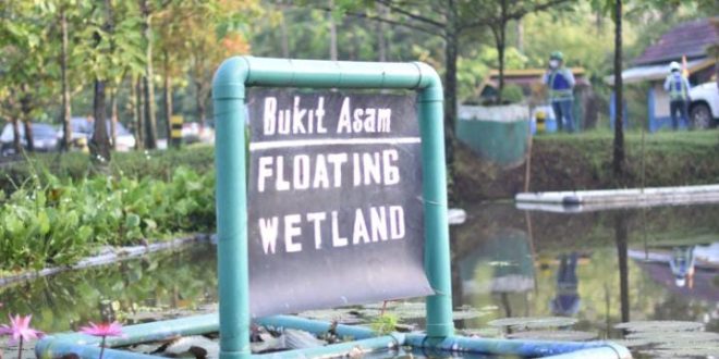 PT. Bukit Asam Tbk (PTBA) berinovasi mengembangkan lahan basah buatan (constructed wetland) untuk menghilangkan bahan pencemar seperti logam berat dan mampu menetralkan air asam tambang. (Bekisar Media / PT. Bukit Asam)