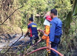 Tim dari Satuan Polisi Pamong Praja dan Pemadam Kebakaran Kabupaten Musi Banyuasin berhasil memadamkan api yang membakar lahan di Jalan Sekayu-Pendopo Kampung Sekate, simpang Kecamatan Plakat Tinggi, hari Rabu tanggal 4 September 2024. (BekisarMedia.id/Eka Sahputra)