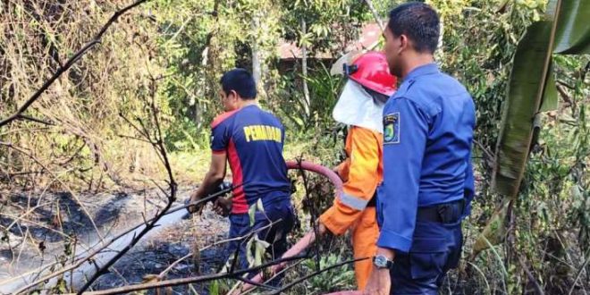 Tim dari Satuan Polisi Pamong Praja dan Pemadam Kebakaran Kabupaten Musi Banyuasin berhasil memadamkan api yang membakar lahan di Jalan Sekayu-Pendopo Kampung Sekate, simpang Kecamatan Plakat Tinggi, hari Rabu tanggal 4 September 2024. (BekisarMedia.id/Eka Sahputra)