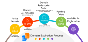 Domain Expiration Process. (foto : afeeshost.com)