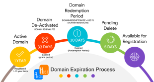 Domain Expiration Process. (foto : afeeshost.com)