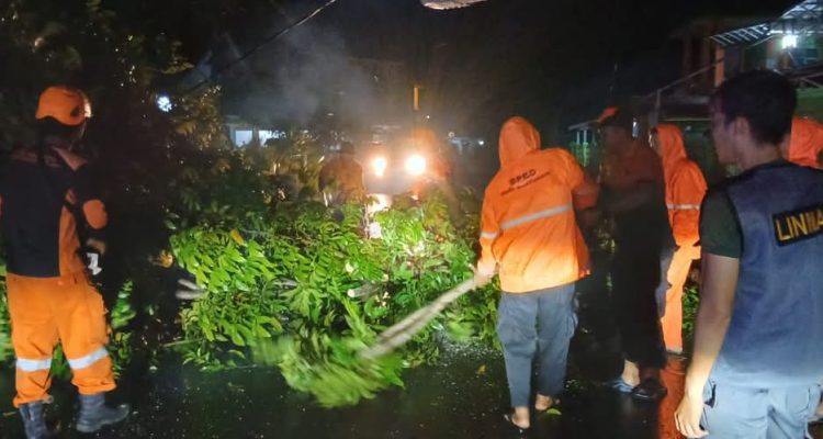 Tim Badan Penanggulangan Bencana Daerah (BPBD) Kabupaten Muba bersama PLN, Satpol PP, DLH, dan warga, berhasil menuntaskan evakuasi pohon tumbang yang menghalangi Jalan Jami’annur II, Lingkungan III, RT 013 RW 006, Kelurahan Soak Baru. (BEKISARMEDIA.ID/SIKUMBANG)
