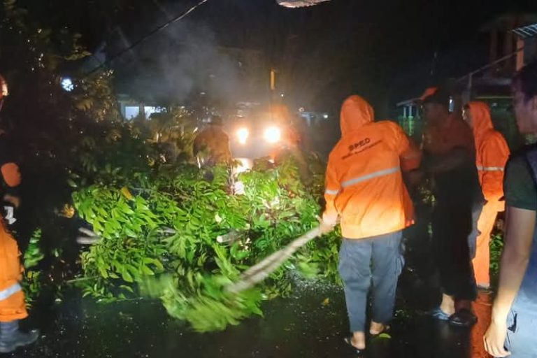 Tim Badan Penanggulangan Bencana Daerah (BPBD) Kabupaten Muba bersama PLN, Satpol PP, DLH, dan warga, berhasil menuntaskan evakuasi pohon tumbang yang menghalangi Jalan Jami’annur II, Lingkungan III, RT 013 RW 006, Kelurahan Soak Baru. (BEKISARMEDIA.ID/SIKUMBANG)