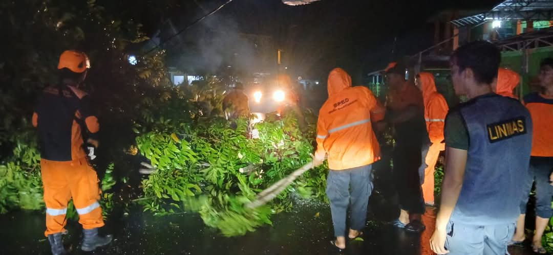 Tim Badan Penanggulangan Bencana Daerah (BPBD) Kabupaten Muba bersama PLN, Satpol PP, DLH, dan warga, berhasil menuntaskan evakuasi pohon tumbang yang menghalangi Jalan Jami’annur II, Lingkungan III, RT 013 RW 006, Kelurahan Soak Baru. (BEKISARMEDIA.ID/SIKUMBANG)
