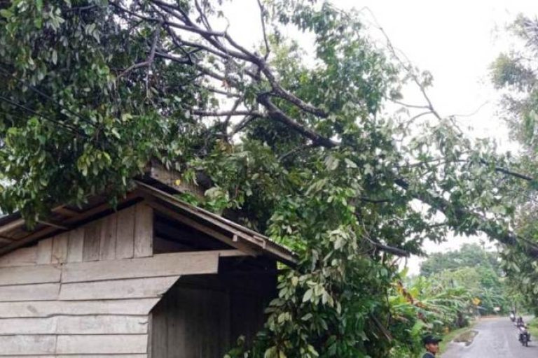 tim gabungan yang terdiri dari Badan Penanggulangan Bencana Daerah (BPBD) Kabupaten Musi Banyuasin (Muba), Pemadam Kebakaran (Damkar), Satuan Polisi Pamong Praja (Satpol PP), Dinas Lingkungan Hidup (DLH), Kecamatan Sekayu, dan Perusahaan Listrik Negara. (BEKISARMEDIA.ID/SIKUMBANG)