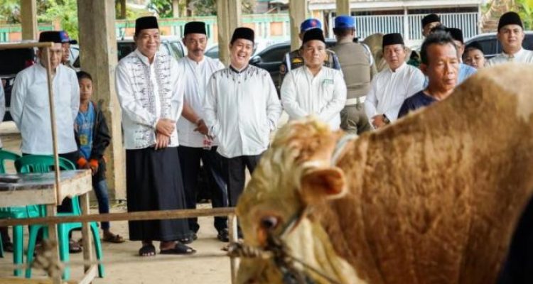 Bupati Muba, M. Toha, menyaksikan proses penyembelihan hewan kurban yang salah satunya merupakan pemberian dari Presiden Republik Indonesia, Prabowo Subianto. (BEKISARMEDIA.ID/APRIZAL)
