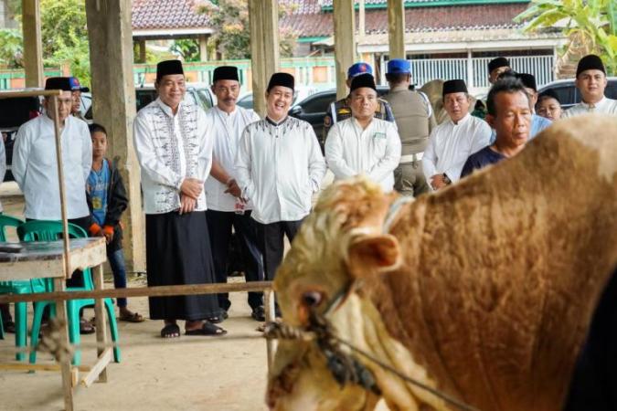 Bupati Muba, M. Toha, menyaksikan proses penyembelihan hewan kurban yang salah satunya merupakan pemberian dari Presiden Republik Indonesia, Prabowo Subianto. (BEKISARMEDIA.ID/APRIZAL)