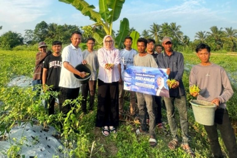 Anggota Dewan Perwakilan Daerah Republik Indonesia (DPD RI), Hj. Eva Susanti, mengunjungi Kelompok Tani Milenial di Kelurahan Pulo Kerto, Kecamatan Gandus, Kota Palembang (BEKISARMEDIA.ID/SIKUMBANG)