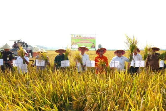 Bupati OKI, H. Muchendi Mahzareki, saat menghadiri panen padi IP300 di Desa Sindang Sari, Kecamatan Lempuing, dan Desa Juk Dadak, Kecamatan Tanjung Lubuk. (BEKISARMEDIA.ID/SIKUMBANG)