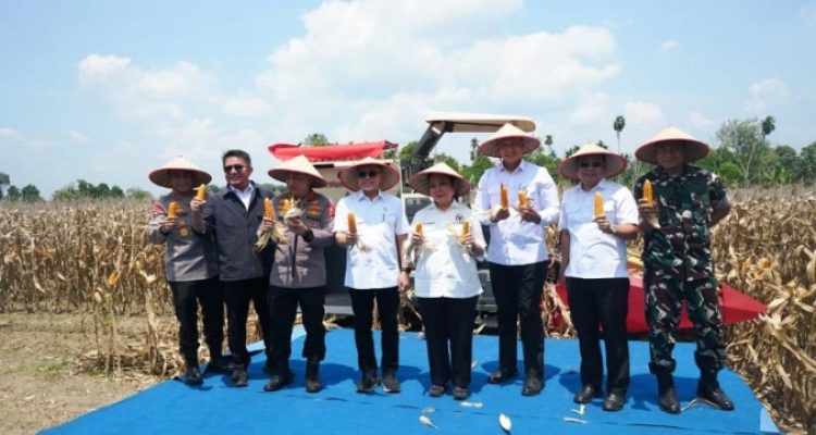 Gubernur Provinsi Sumatera Selatan (Sumsel), Herman Deru, bersama Menteri Koordinator Pangan Republik Indonesia, Zulkifli Hasan, dan Kapolri, Jenderal Listyo Sigit Prabowo, menghadiri Panen Raya Jagung Serentak RI Kuartal III di Desa Negeri Ratu, Kecamatan Bunga Mayang, Kabupaten OKU Timur. (BEKISARMEDIA.ID/SIKUMBANG)