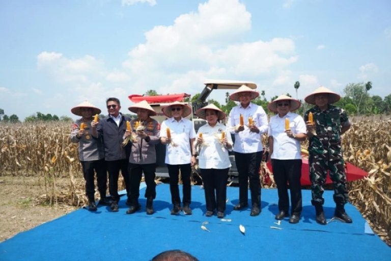 Gubernur Provinsi Sumatera Selatan (Sumsel), Herman Deru, bersama Menteri Koordinator Pangan Republik Indonesia, Zulkifli Hasan, dan Kapolri, Jenderal Listyo Sigit Prabowo, menghadiri Panen Raya Jagung Serentak RI Kuartal III di Desa Negeri Ratu, Kecamatan Bunga Mayang, Kabupaten OKU Timur. (BEKISARMEDIA.ID/SIKUMBANG)