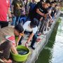 Bupati Muba, M. Toha yang diwakili Staf Ahli Bupati Bidang Pembangunan, H. Tabrani Rizki, membuka kegiatan Lomba Mancing Ikan Mas yang digelar untuk memeriahkan Hari Ulang Tahun (HUT) ke-69 Kabupaten Muba. (BEKISARMEDIA.ID/SIKUMBANG)