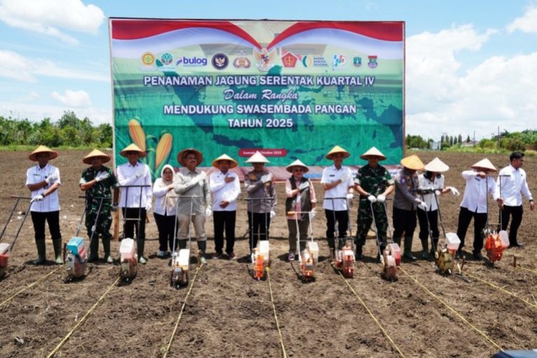 Bupati Kabupaten Ogan Komering Ilir, H. Muchendi Mahzareki, mengikuti kegiatan Penanaman Jagung Serentak Kuartal IV yang digelar di kawasan Sepucuk, Kayuagung, pada hari Rabu, tanggal 8 Oktober 2025. (BEKISARMEDIA.ID/SIKUMBANG)
