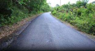 Ruas jalan menuju Kecamatan Tulung Selapan, Kabupaten Ogan Komering Ilir, Provinsi Sumatera Selatan. (BEKISARMEDIA.ID/ANGGA)