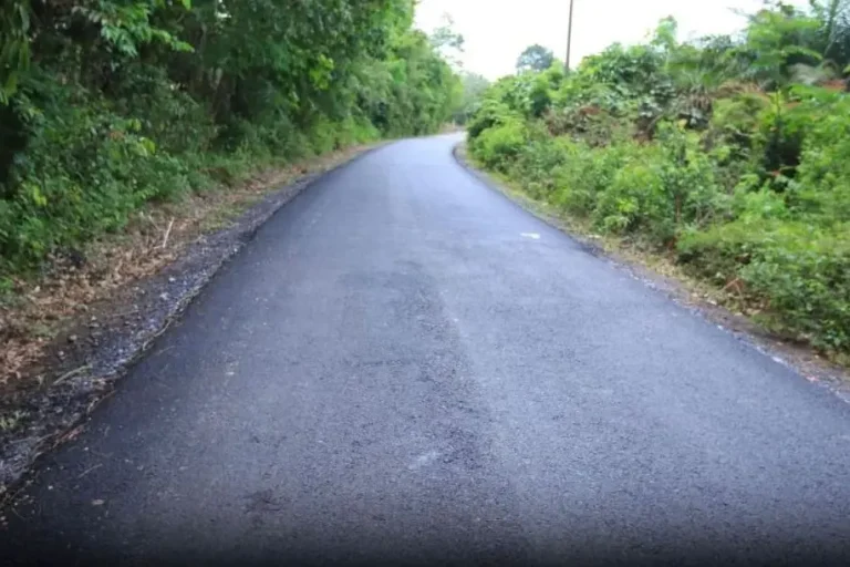 Ruas jalan menuju Kecamatan Tulung Selapan, Kabupaten Ogan Komering Ilir, Provinsi Sumatera Selatan. (BEKISARMEDIA.ID/ANGGA)