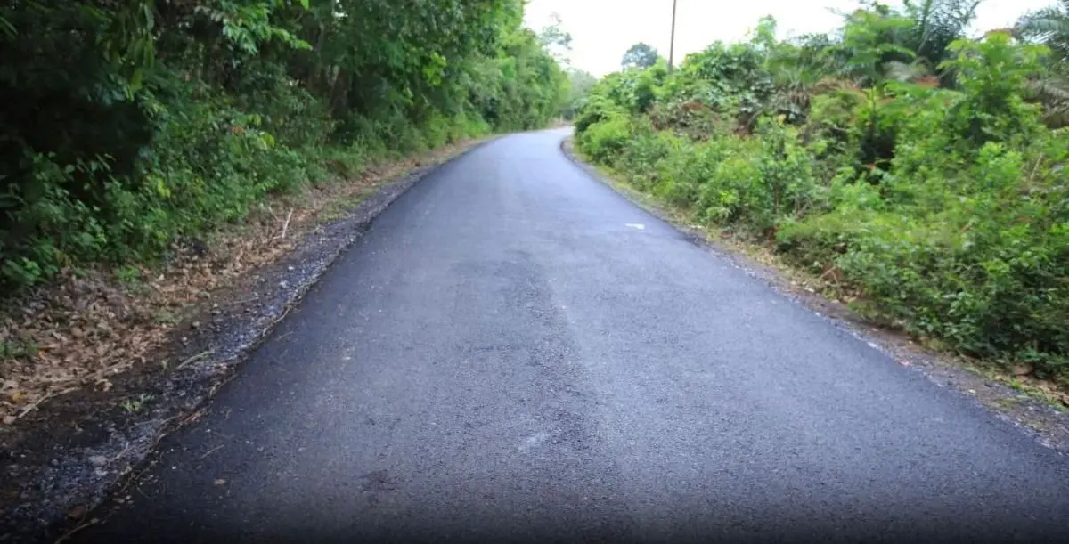 Ruas jalan menuju Kecamatan Tulung Selapan, Kabupaten Ogan Komering Ilir, Provinsi Sumatera Selatan. (BEKISARMEDIA.ID/ANGGA)