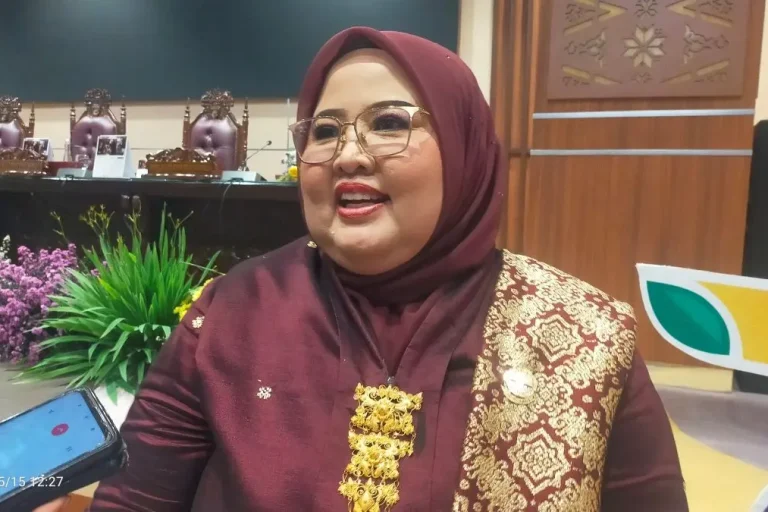 Hj. Meilinda, Anggota Komisi I DPRD Sumsel Periode 2024-2029. (BEKISARMEDIA.ID/HAIRUDIN)