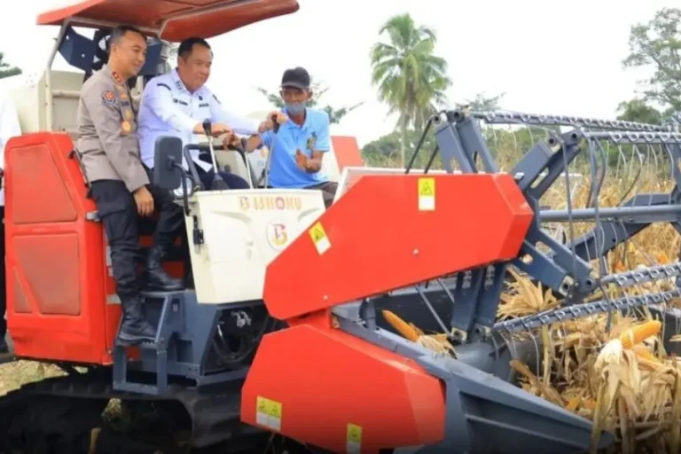Wagub Sumsel, Cik Ujang, agenda Panen Raya Jagung Serentak Kuartal II Tahun 2026, yang dipusatkan di Desa Bumi Agung Jaya, Kecamatan Buay Rawan, Kabupaten Ogan Komering Ulu Selatan (OKU Selatan), pada hari Sabtu, tanggal 16 Mei 2026. (BEKISARMEDIA.ID/HAIRUDIN)